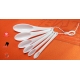 Set cucchiai  plastici
