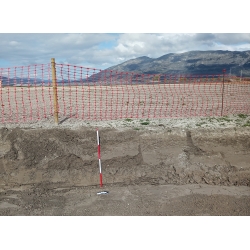 Freccia metrica geodetica