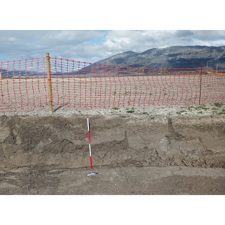 Freccia metrica geodetica